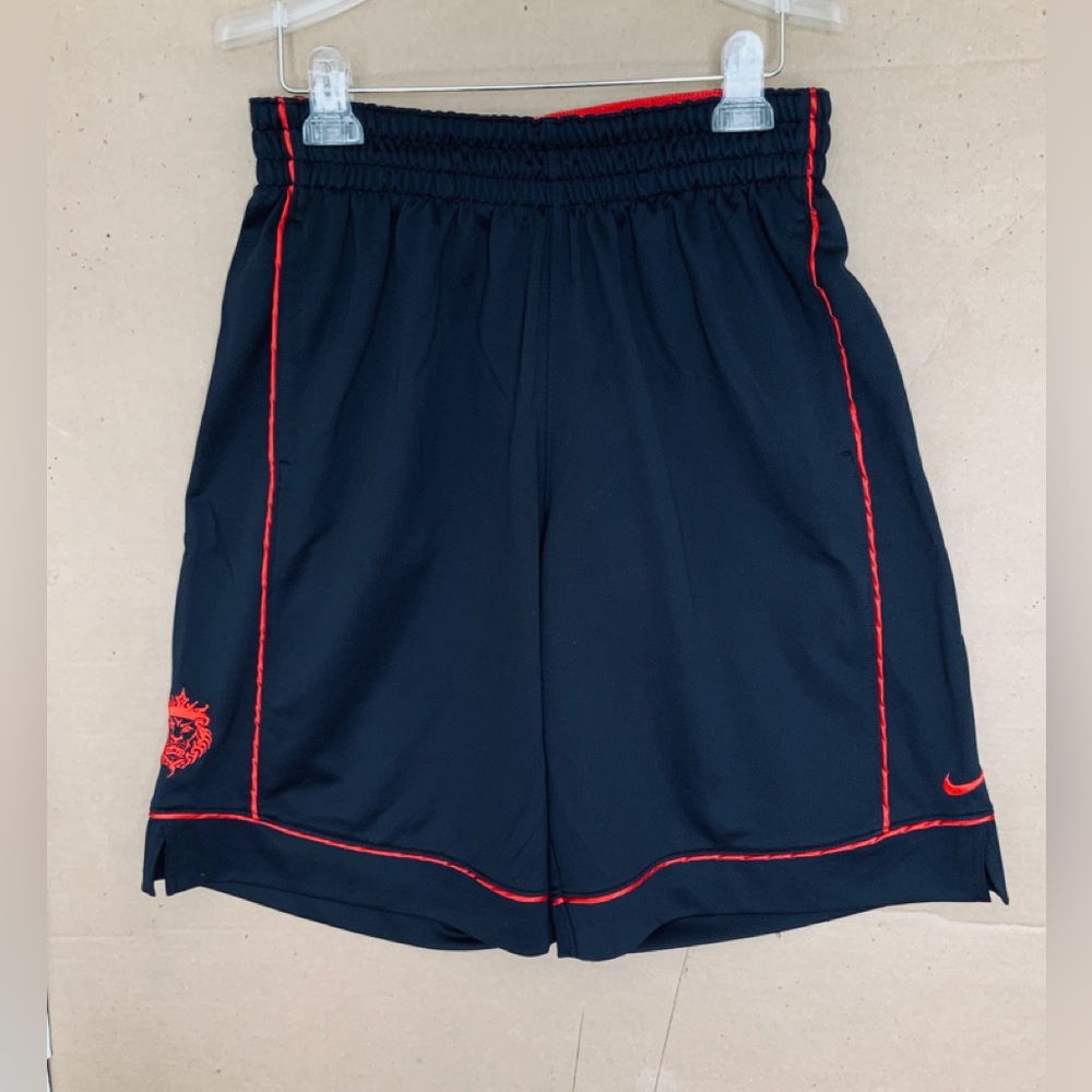 LeBron James Basketball Shorts. NIKE DRI-FIT.